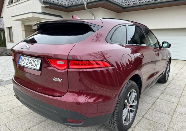 Jaguar F-Pace cena 125000 przebieg: 78600, rok produkcji 2016 z Olsztyn małe 106